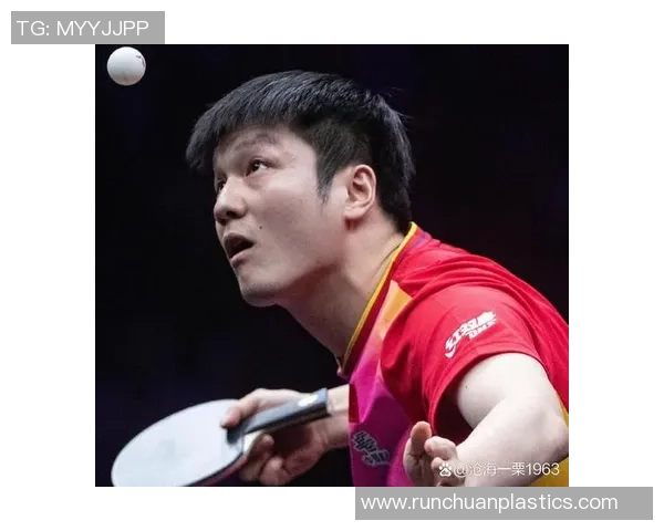 武汉乒乓球队在世锦赛中的技术表现分析与未来展望